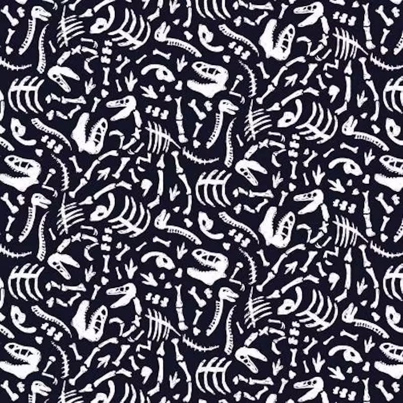 | Verity Blue Studio Dinosaur Fossils (Glow-in-the-Dark)