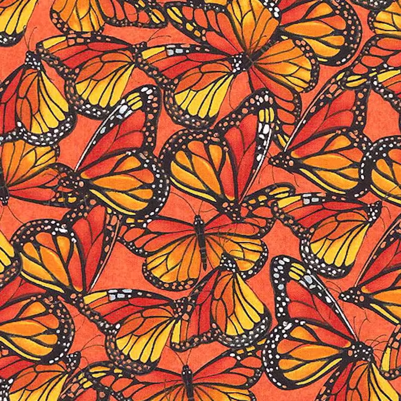 | Verity Blue Studio Monarchs on Orange