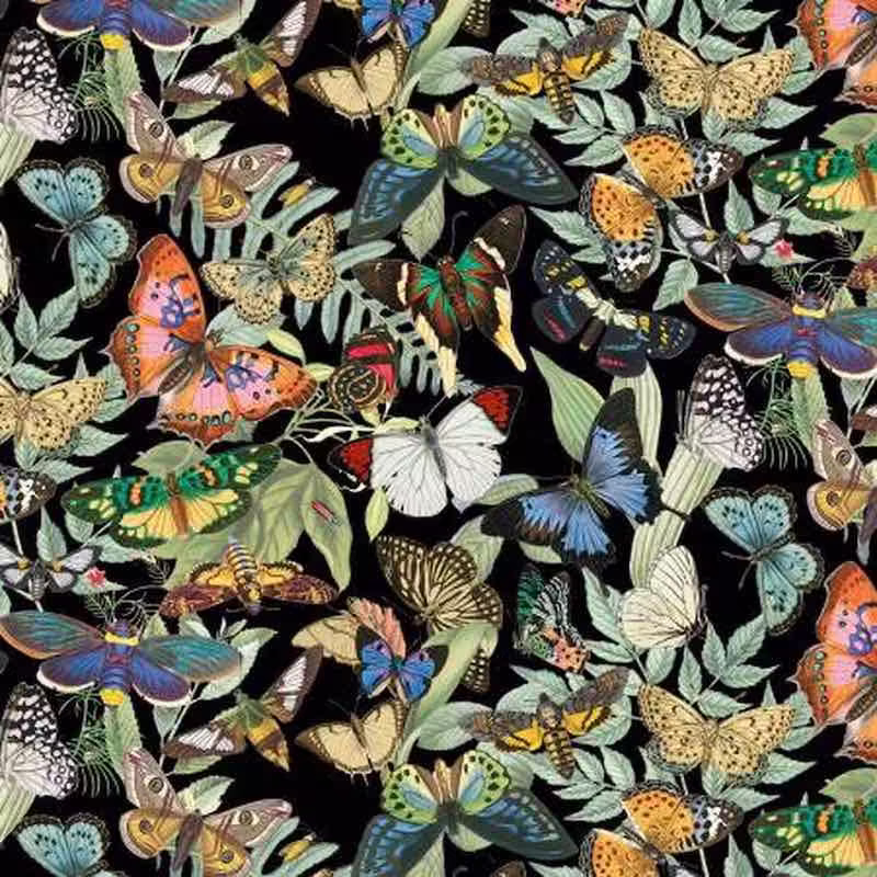 | Verity Blue Studio Butterflies on Black