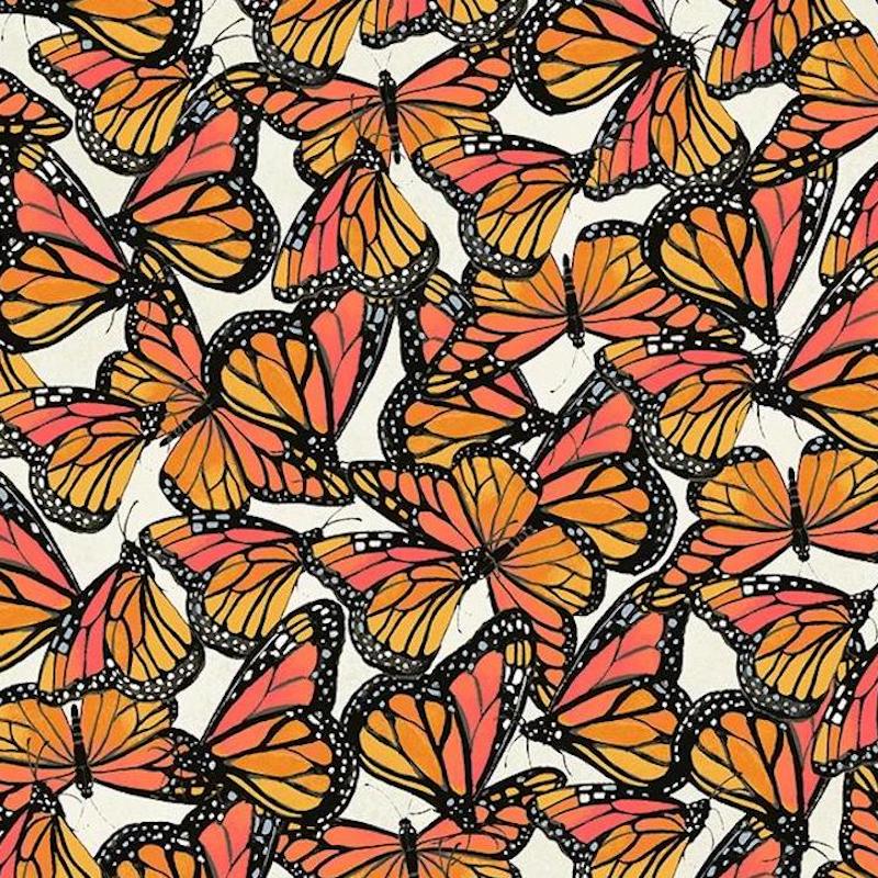 Monarchs on White | Verity Blue Studio