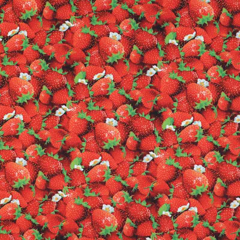 Strawberries | Verity Blue Studio