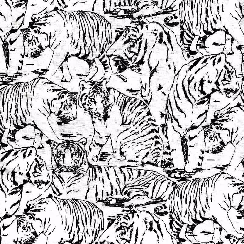 | Verity Blue Studio White Tiger
