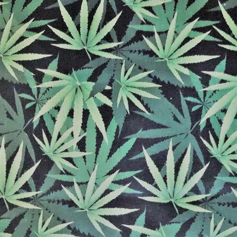 | Verity Blue Studio Cannabis on Black