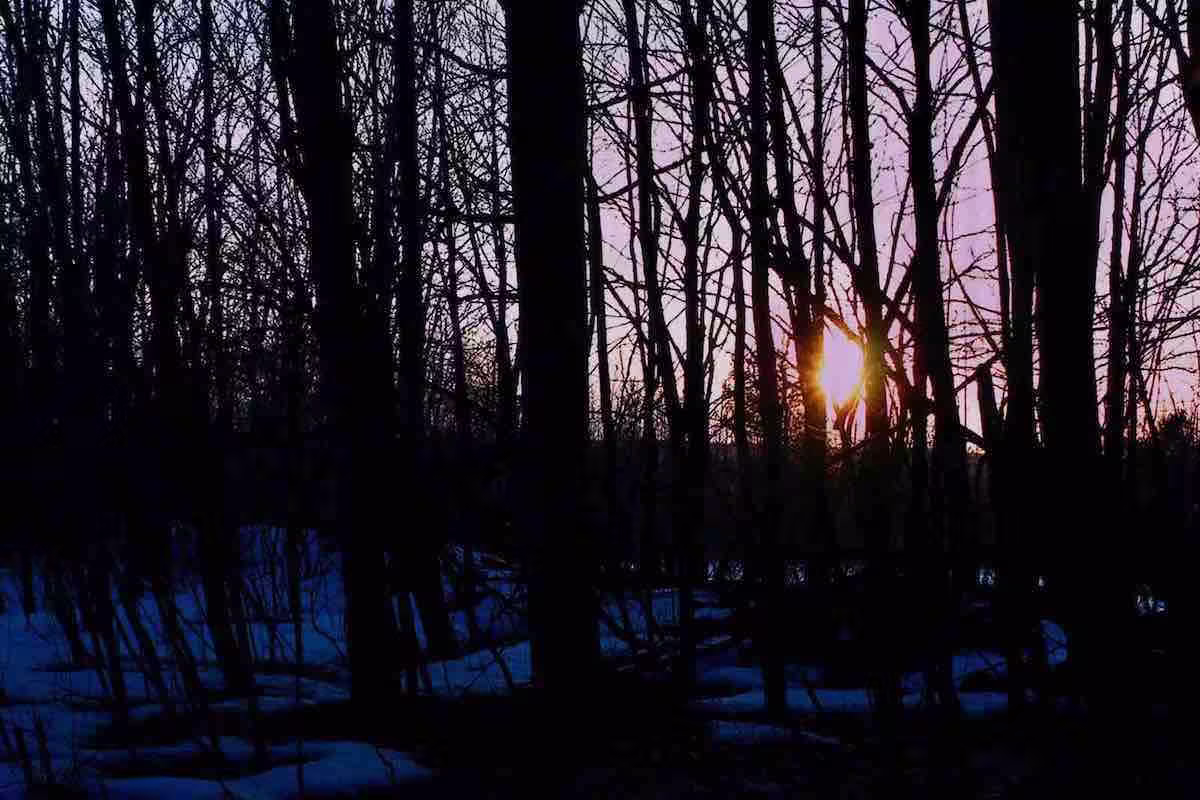 Sunset in the Bush -Verity Blue Studio