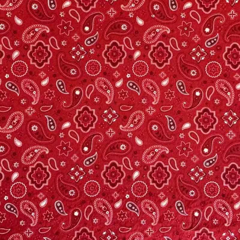 | Verity Blue Studio Red Bandana