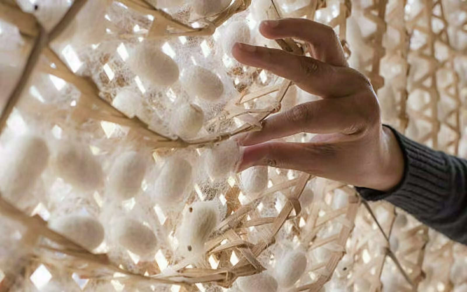 3-Layer Face Covering